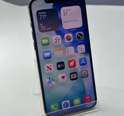 iPhone 12 Pro Max 256GB Gold 100%